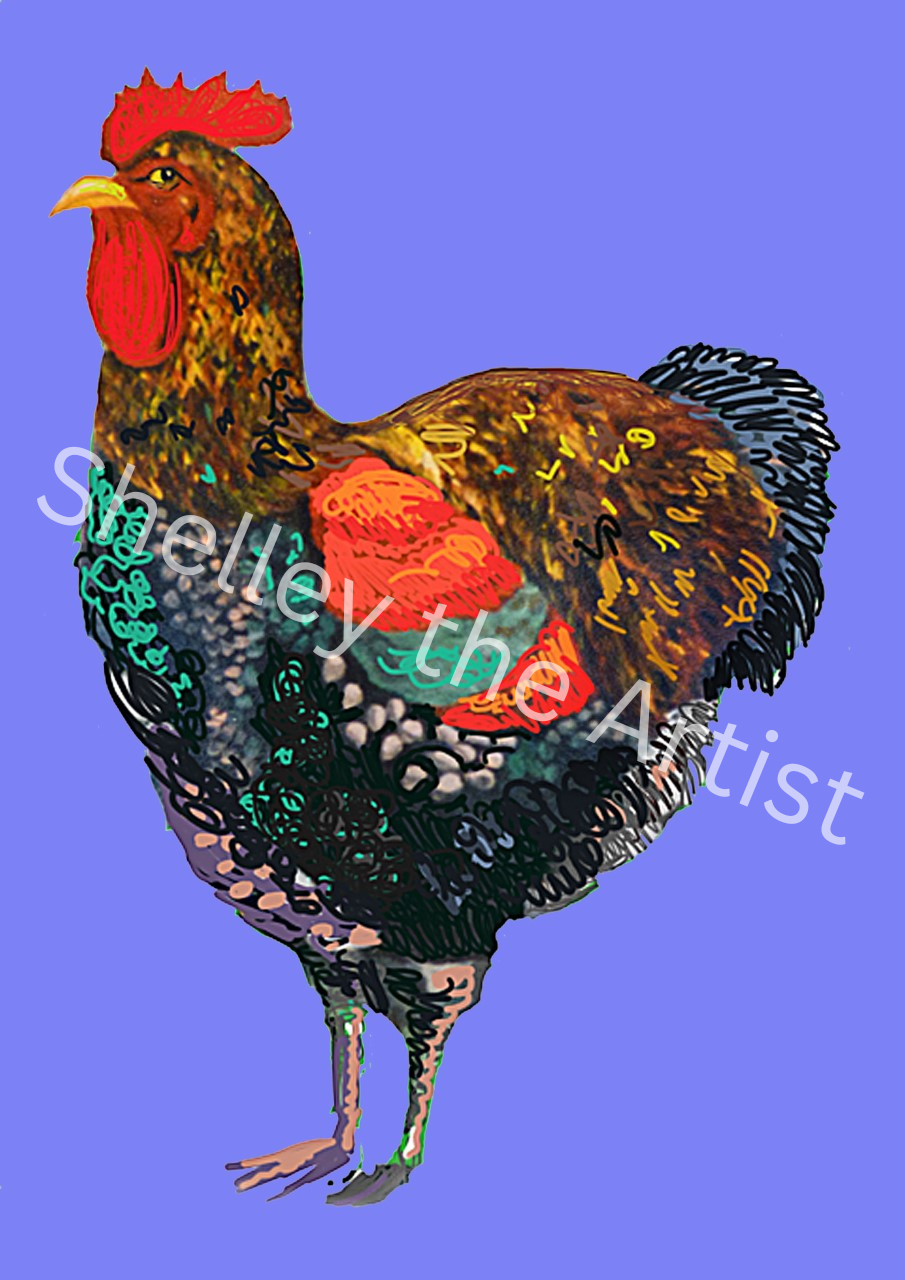 Rooster on Lavender blue