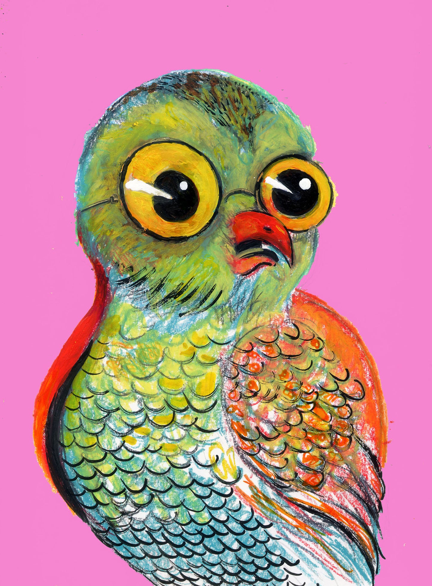 Harvey the four eyed owl