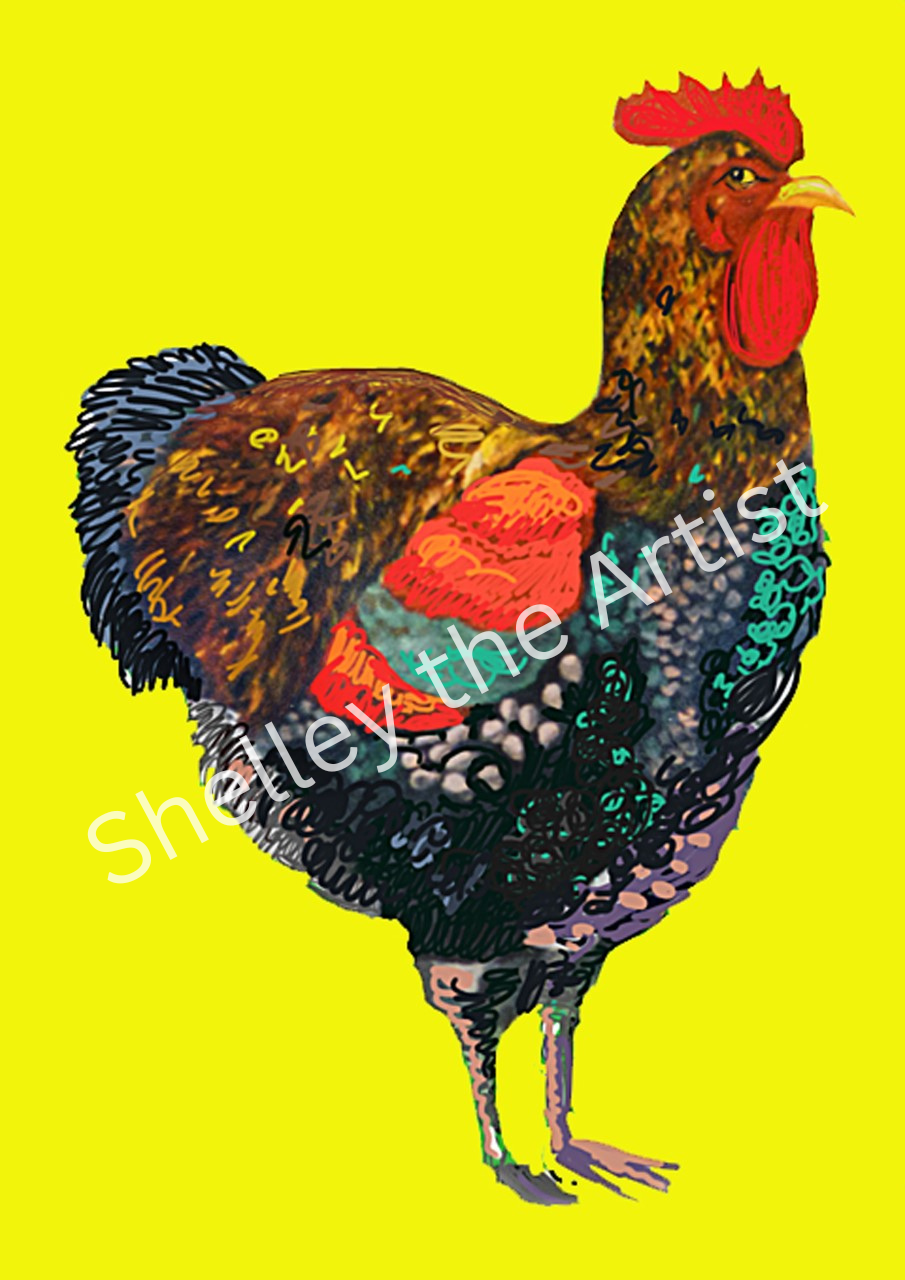 Rooster on Yellow